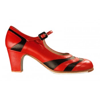 Flamenco Dance Shoes...