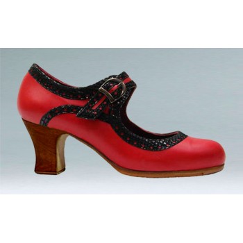 Flamenco dance shoe...