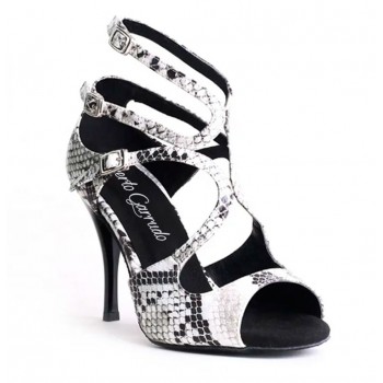 Shoe for Ballroom and Tango...