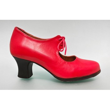 Zapato de Baile Flamenco...