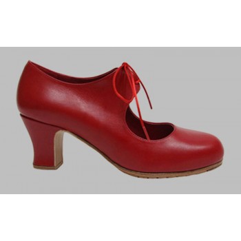 Flamenco dance shoe...