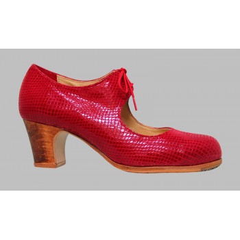 Zapato de baile flamenco...