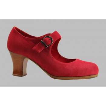 Flamenco dance shoe...