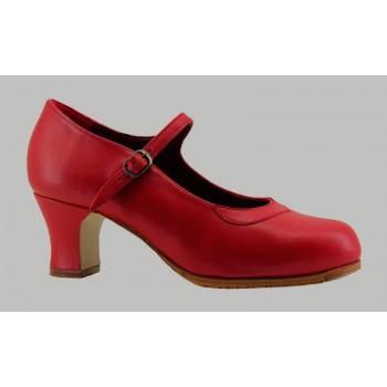 Flamenco dance shoe...