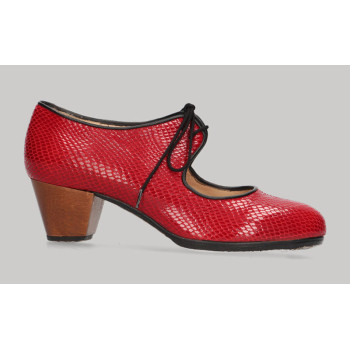 Zapato de baile Flamenco...