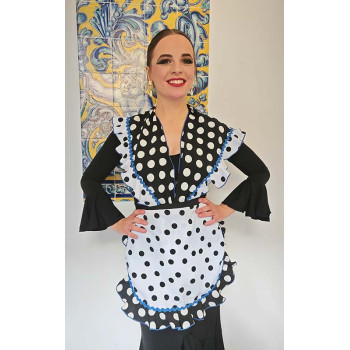 Flamenco Apron and Shawl...